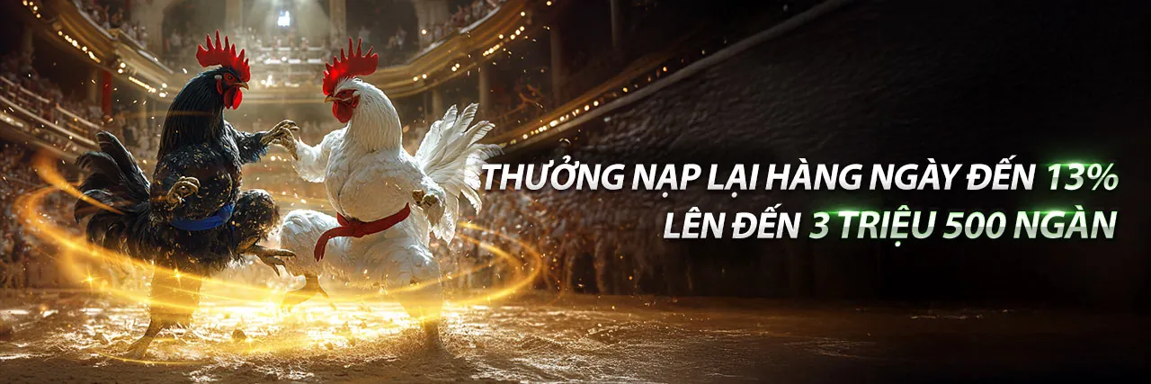 Đá gà trực tuyến kịch tính tại SV33888 trang chủ chính thức
